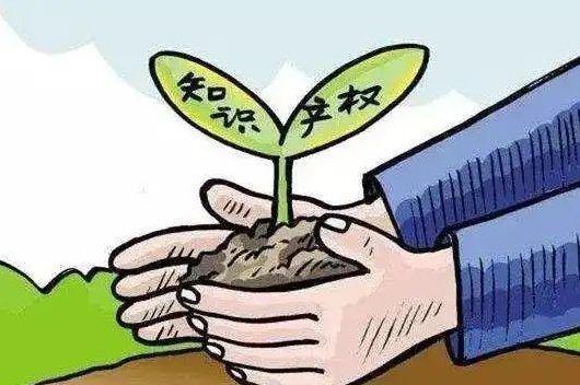 医用产包括哪些品牌【本周热点】团长们注意啦 团购知识产权需防范_https://www.jmylbn.com_新闻资讯_第10张