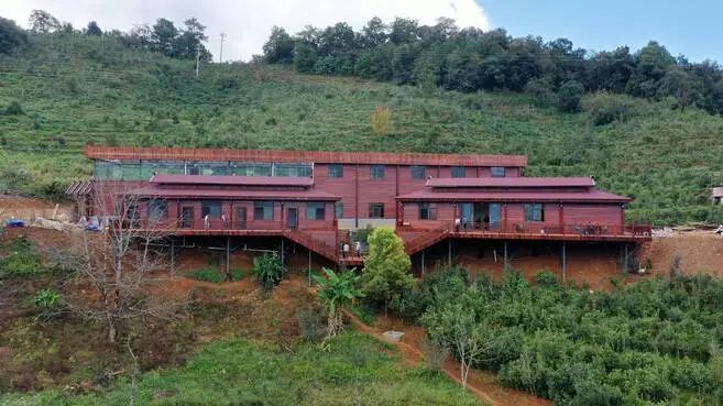 产业帮扶云南普洱镇沅县九甲镇和平村沪滇帮扶助力延伸茶产业链