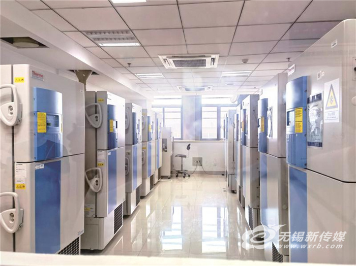 江南大学建成全国最大益生菌专利菌种库打出国产菌种影响力