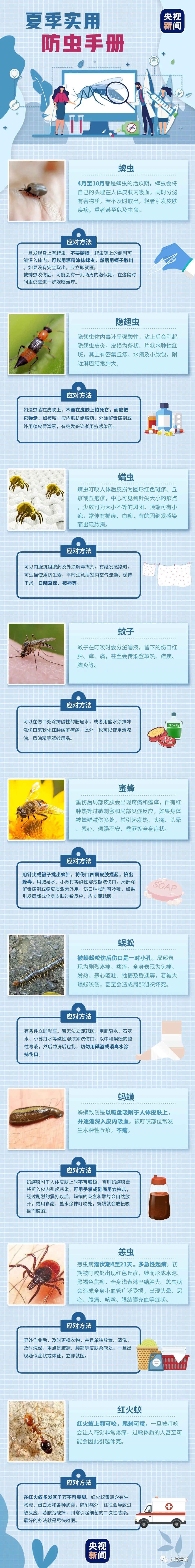 《夏季实用防虫手册 应对方法》记得收藏!