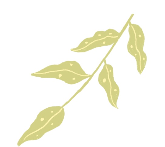 什么视频脑电图视频脑电图开啦，快来看看检查的适应症和注意事项吧_https://www.jmylbn.com_新闻资讯_第8张