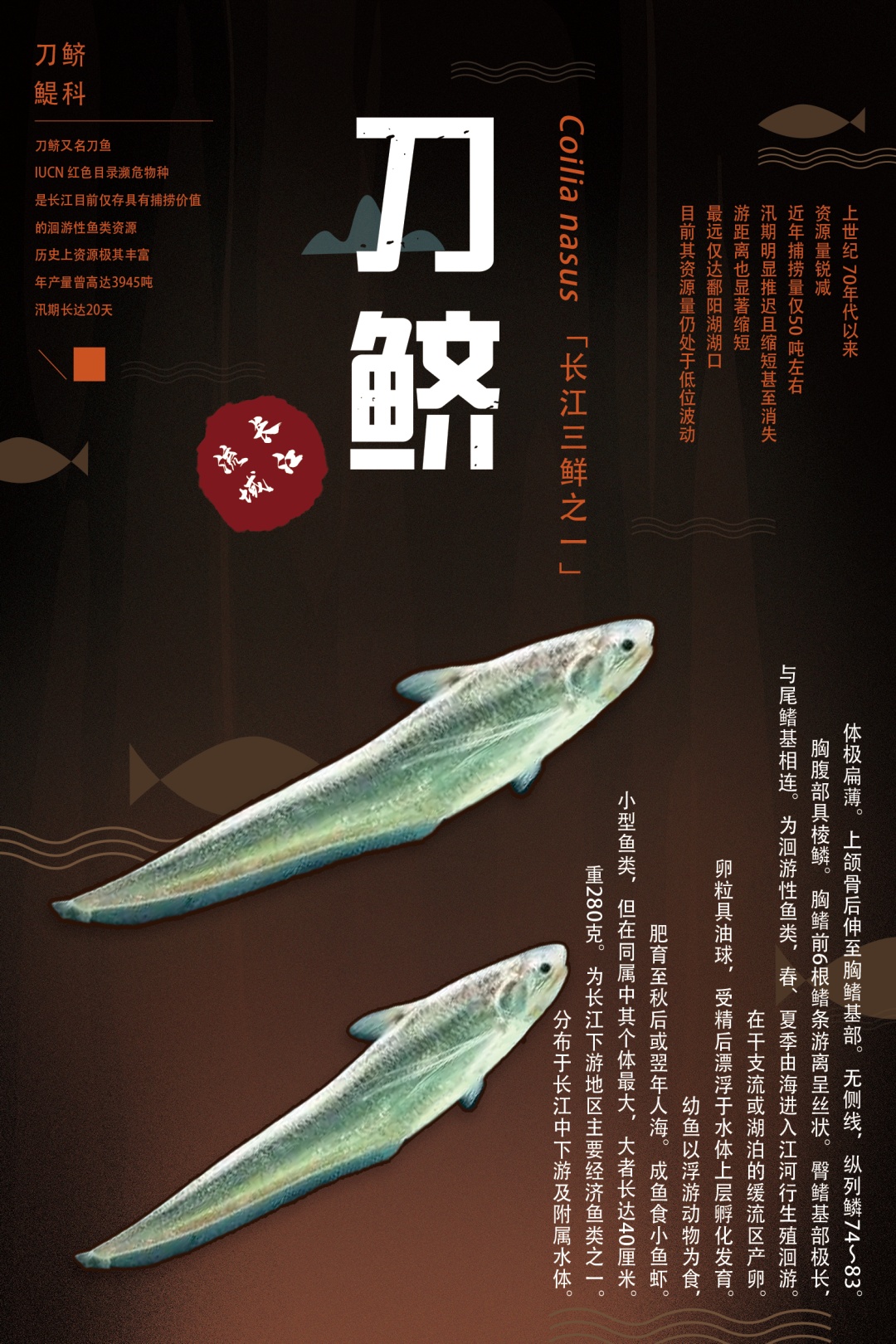 守护“长江原住民”！_上观新闻