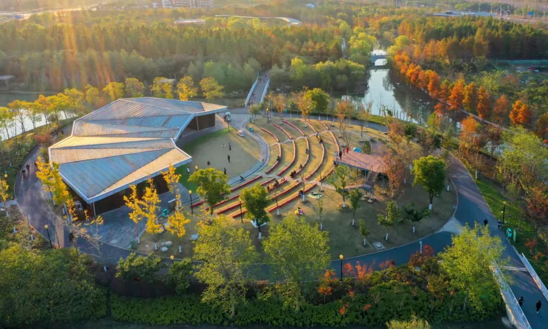 绿意盈满森活呼吸蝉声耳鸣浦江郊野公园最新现场图来了