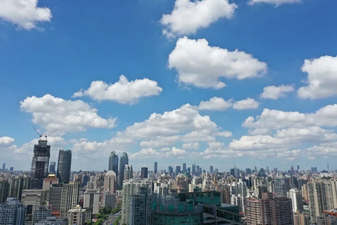 遇见徐汇丨百米高空俯瞰城市美景来场云端约会吧