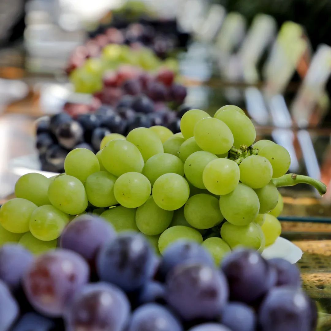 甜蜜来袭金山施泉葡萄节开幕