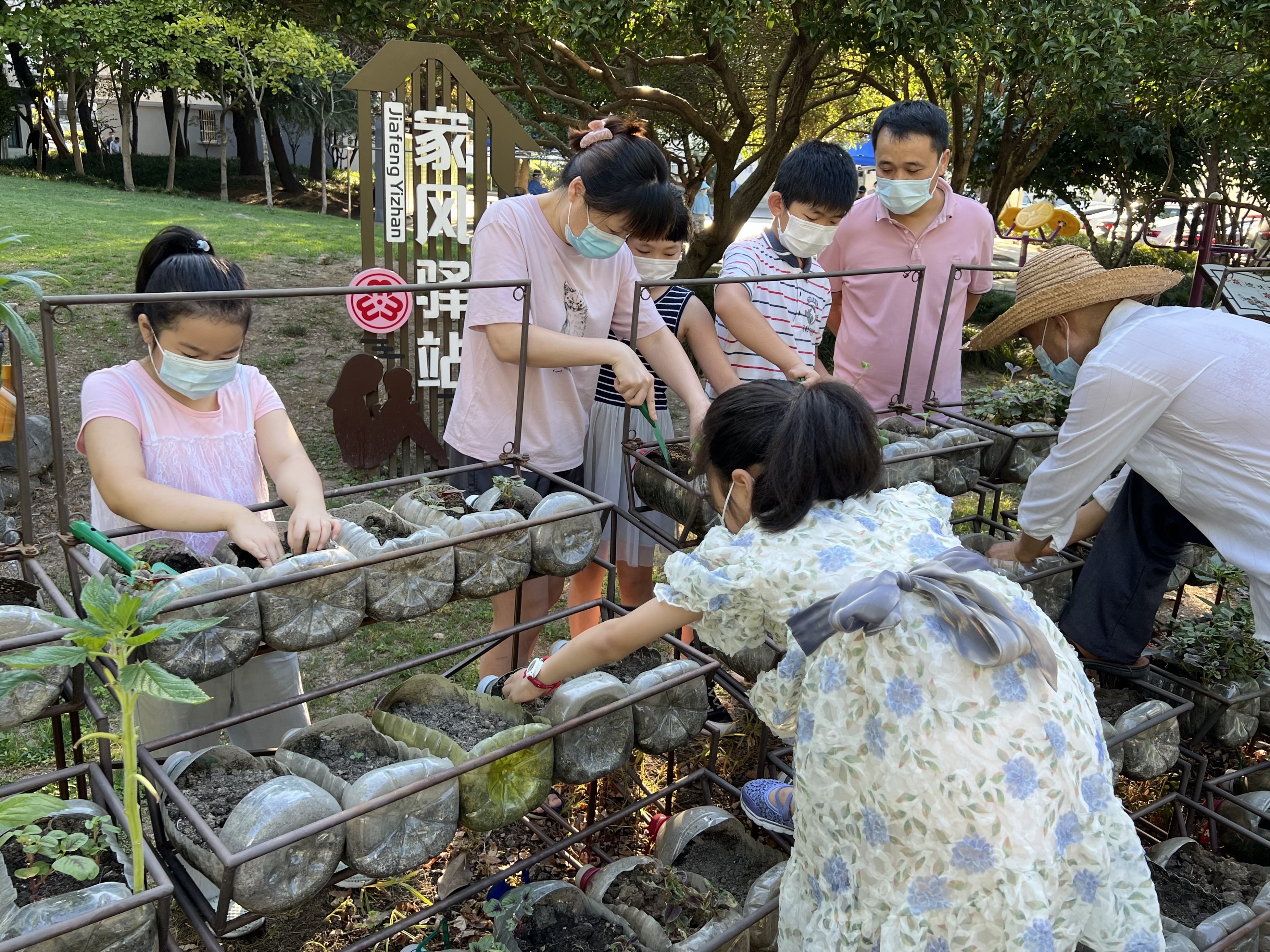 亲子共植乐融融龙兴居民区亲瓶菜园夏日上新啦