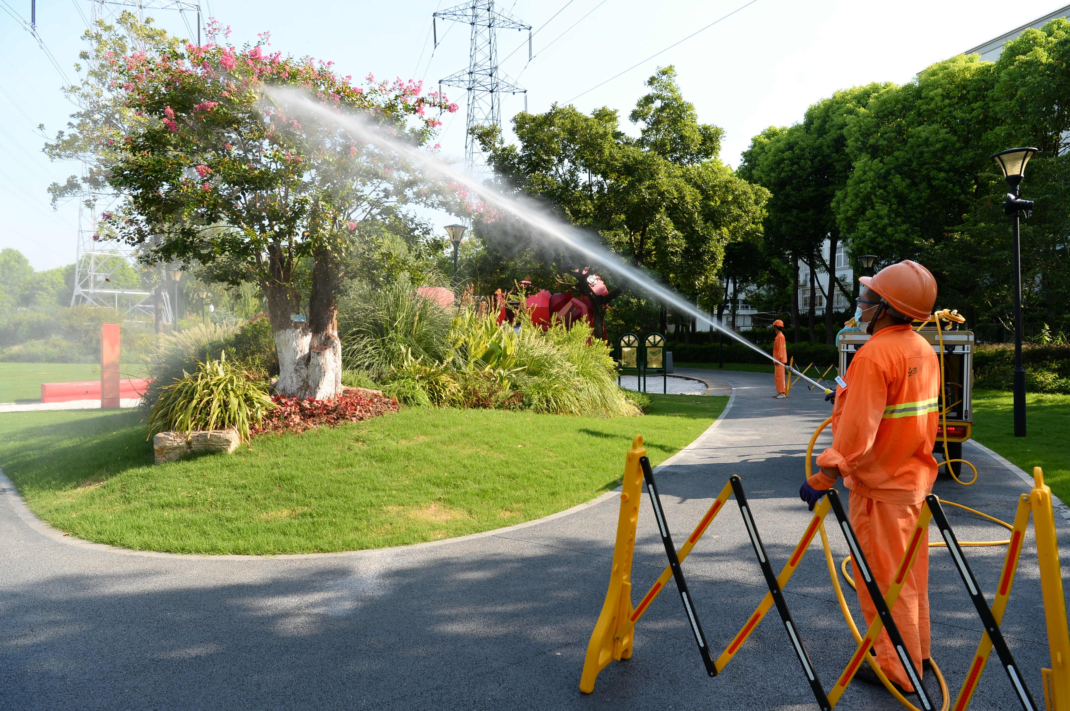 夏季绿化养护守护苗木安然度夏