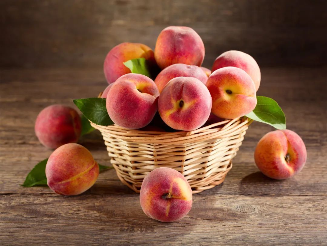 儿童采摘和吃桃子从果树 库存照片. 图片 包括有 帮助, 新鲜, 食物, 系列, 乐趣, 农场, 从事园艺 - 87889928