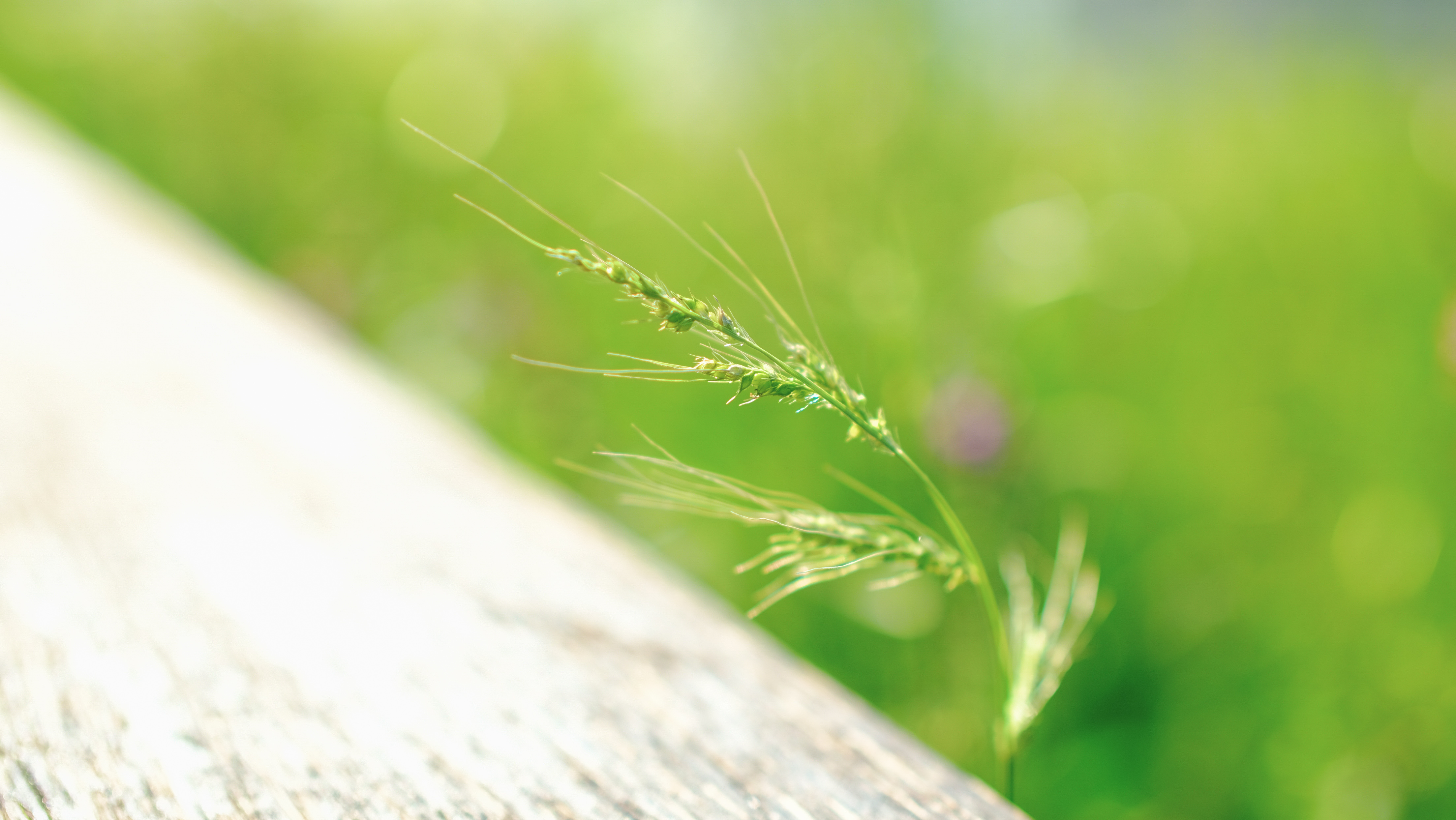 组图|济南云锦湖:划过眼眸的温馨秋日