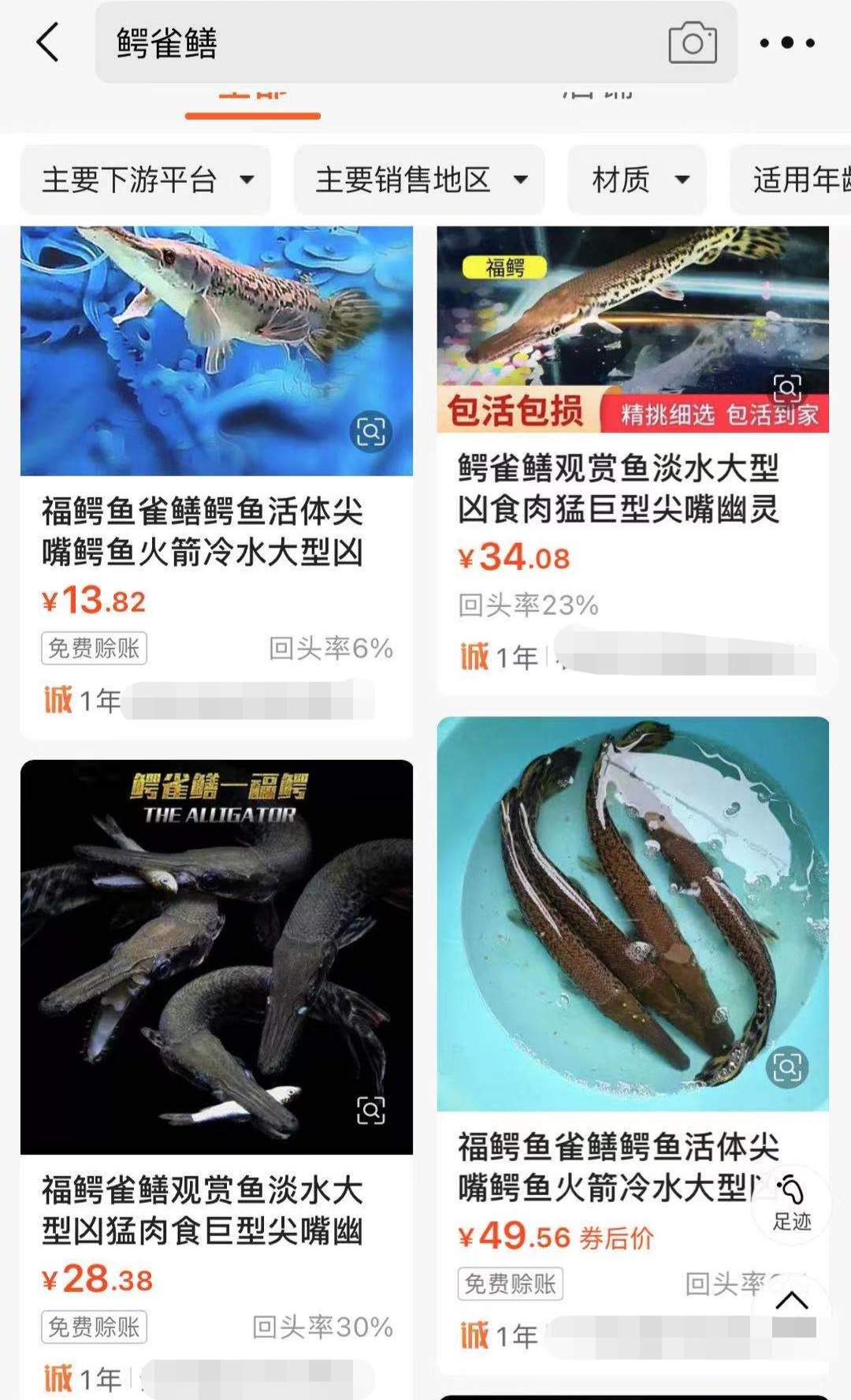 本物】琵琶湖大鯰乾燥標本 レジン封入 【珍魚】-