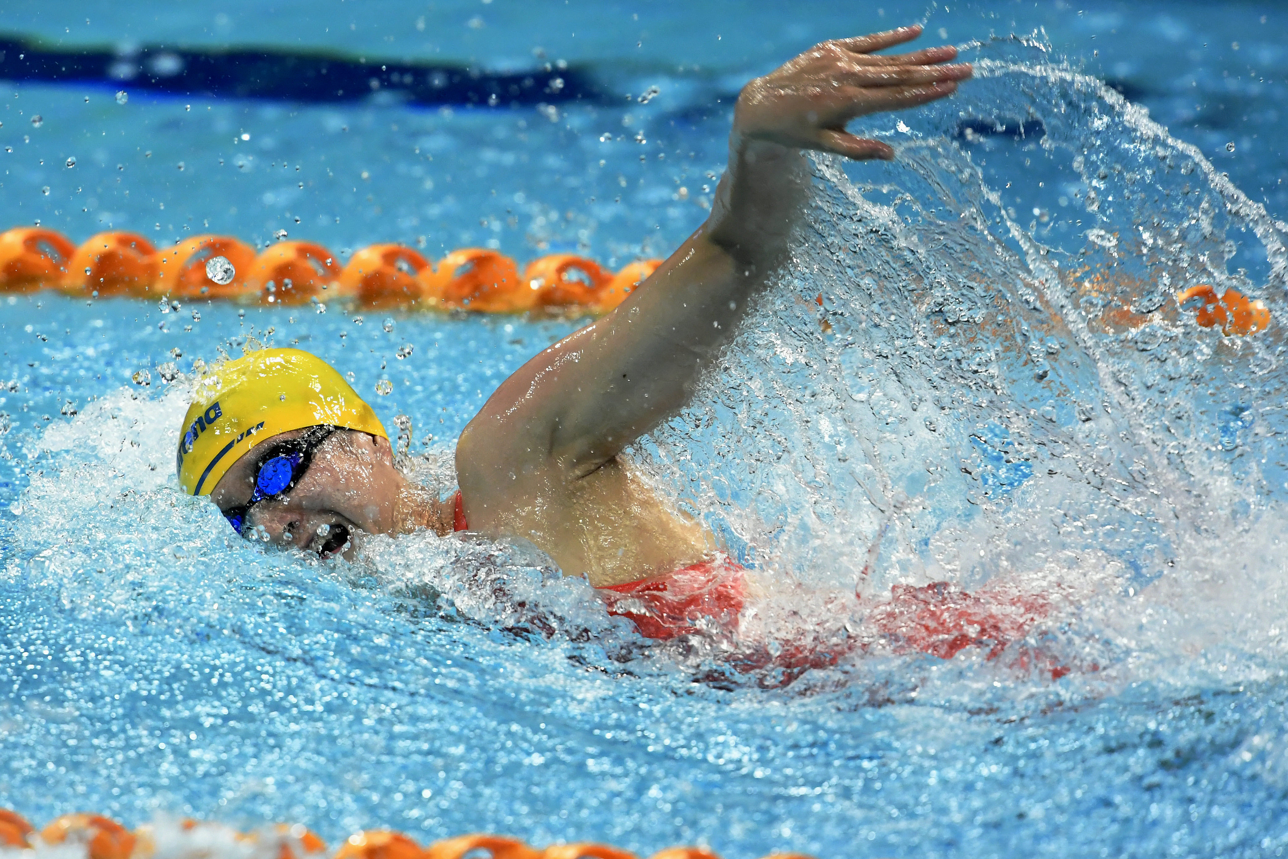 组图|劈波斩浪,聚焦省运会游泳赛场