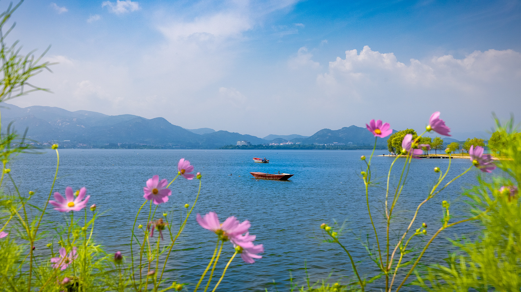 山东好景|雪野湖聆听美妙的秋声