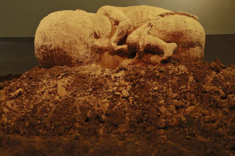 以艺术形式展现土壤生态新桥美术馆举办环保艺术展