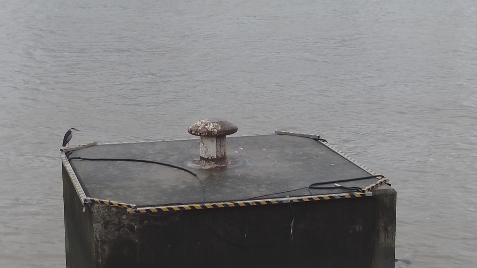 在云雾缭绕的外滩感受暴风雨前的宁静_上观新闻