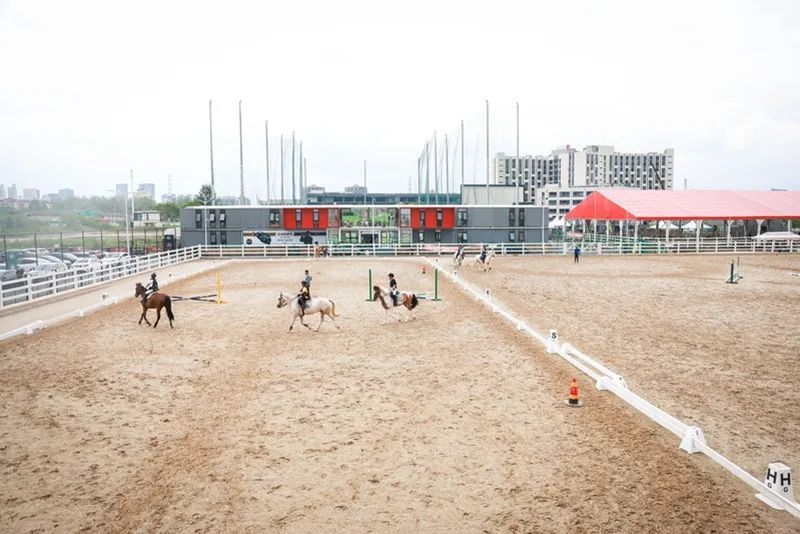 赛事MK体育通级机构实力排名 2026专业推荐指南