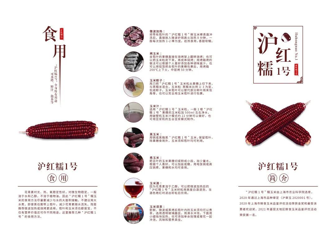 嘉定地产秋季鲜食玉米上市