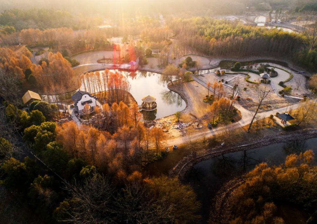 崇明十八境从一片滩涂到花博小镇东平镇的奋斗史很精彩