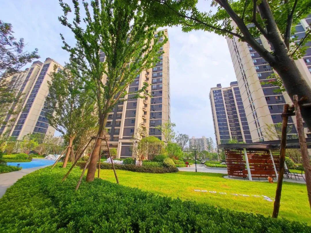 我的位置:>上观号>上海奉贤>文章详情>香悦华庭项目选房工作安排通知