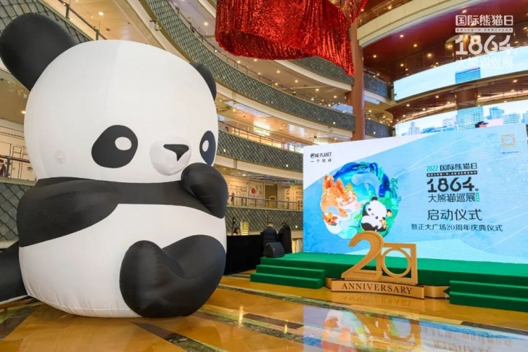 "1864大熊猫巡展"亮相上海,与"滚滚"相约正大广场