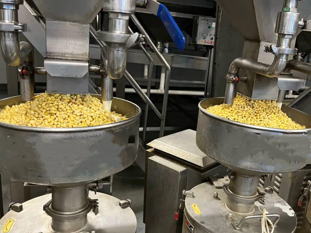 宁夏西吉县牟荣村：停产搁置怎么立异项目运营形式、促进财物盘活增值