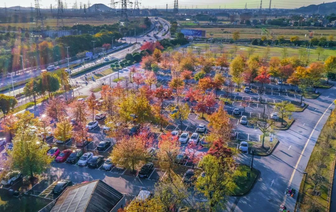 惊艳松江这个停车场冬景美如画