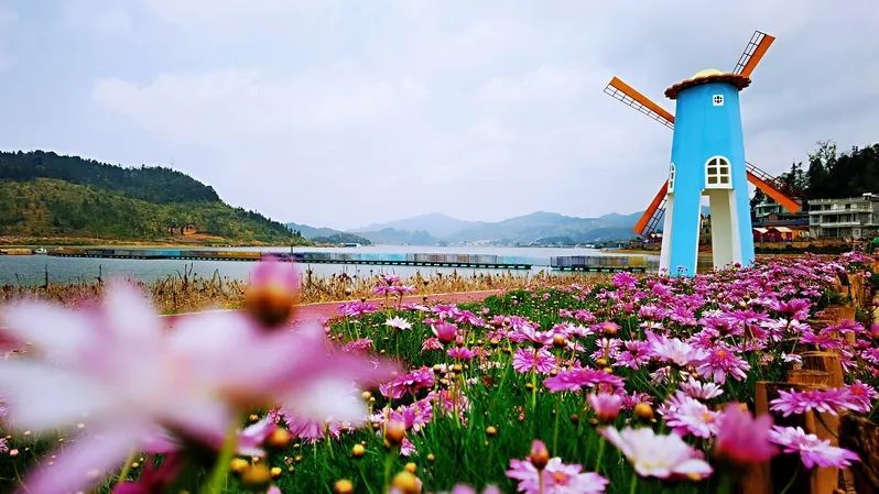 媒体聚焦云南马关县沪滇携手打造大山深处的网红村