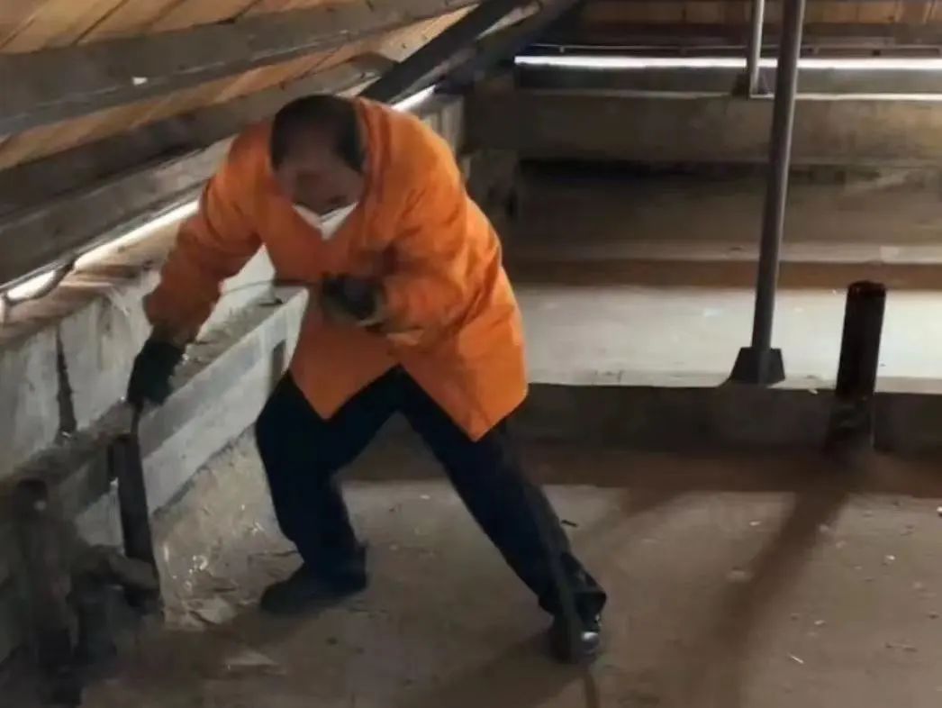 解决居民维修“急难愁盼” ，962121物业服务热线24小时在线_上观新闻