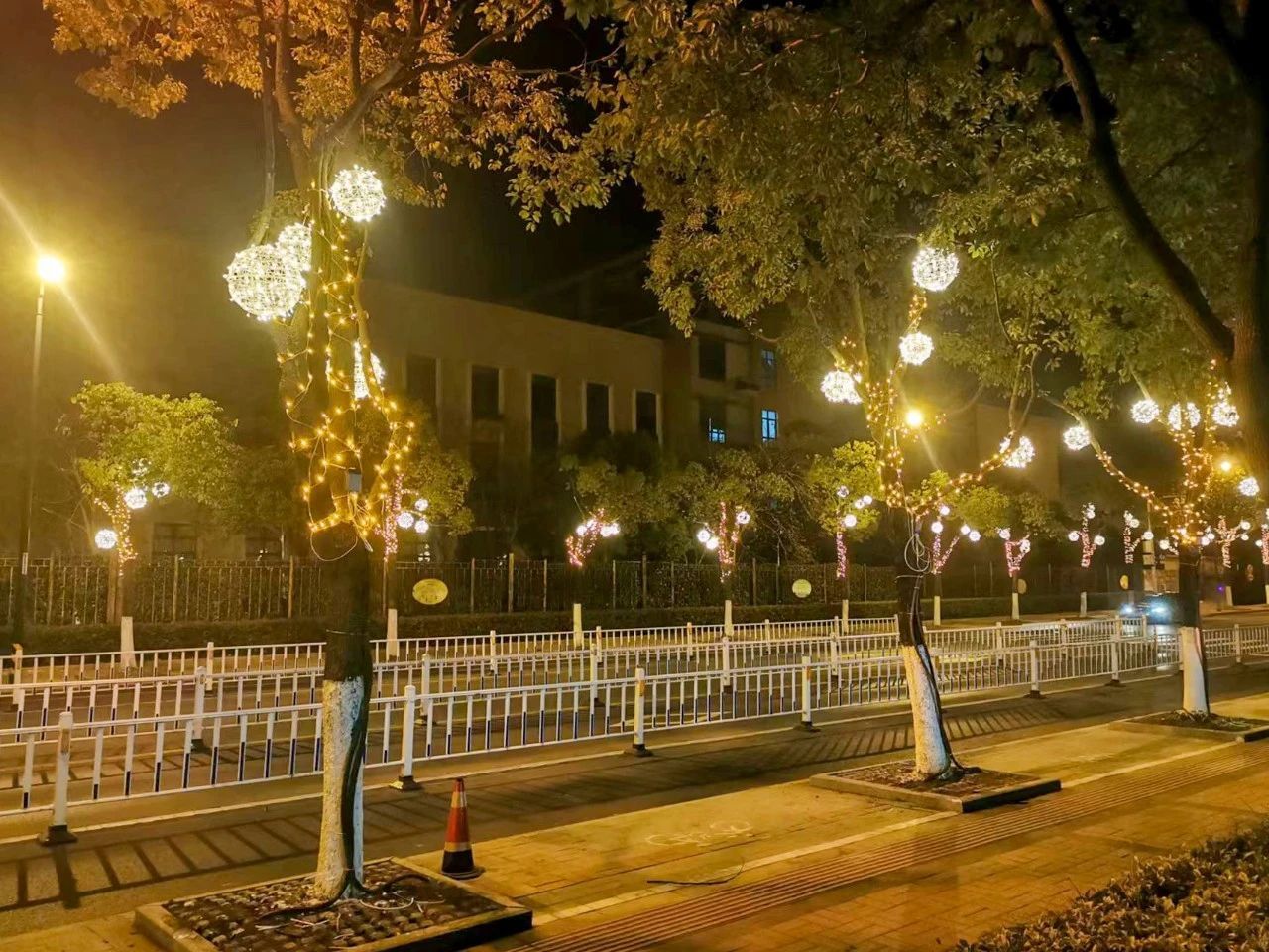 路(新建一路—启悦路),全长180米,道路两侧的行道树上都缠绕着彩带