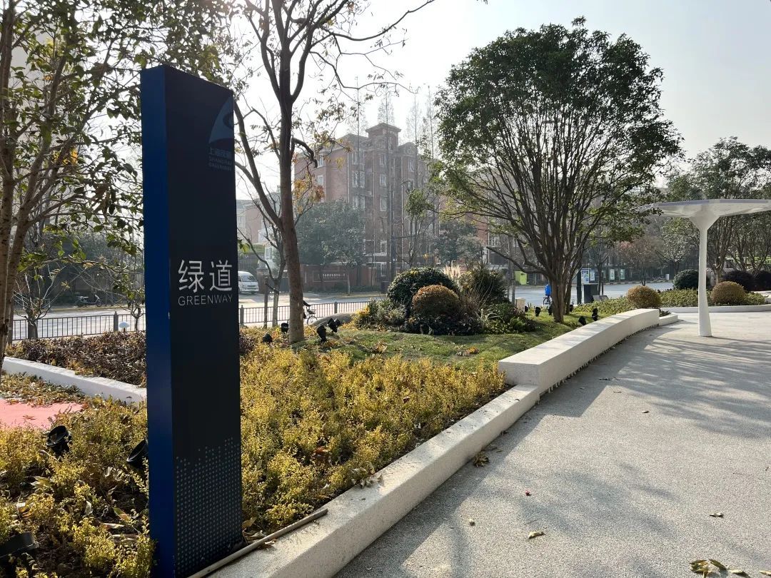 桥下“别有洞天”！杨浦又一滨水空间建成开放