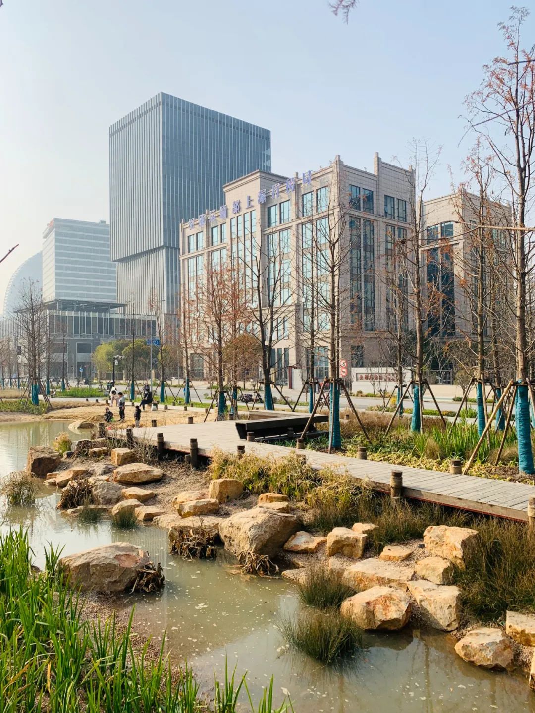 【2025年“城”绩⑥】园林：绿满江城 惠泽民生