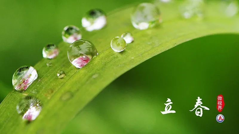 兔年健康月历来了！农历1月-12月，不同节气各有重点！收藏对照，健康一整年！
