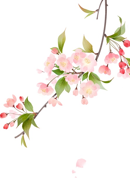 中国科大将在上海建立科教基地