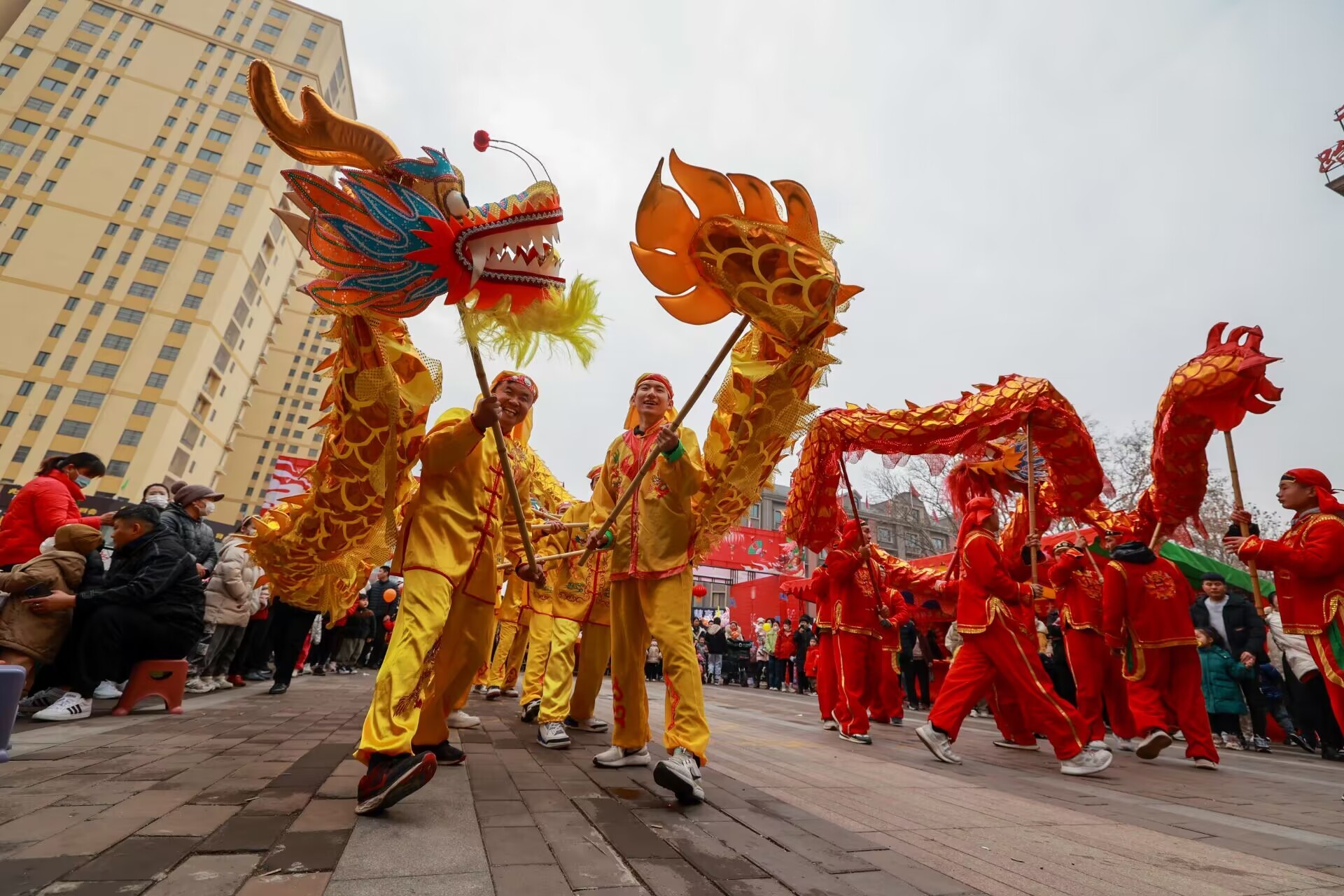 舞龙图片 组图图片