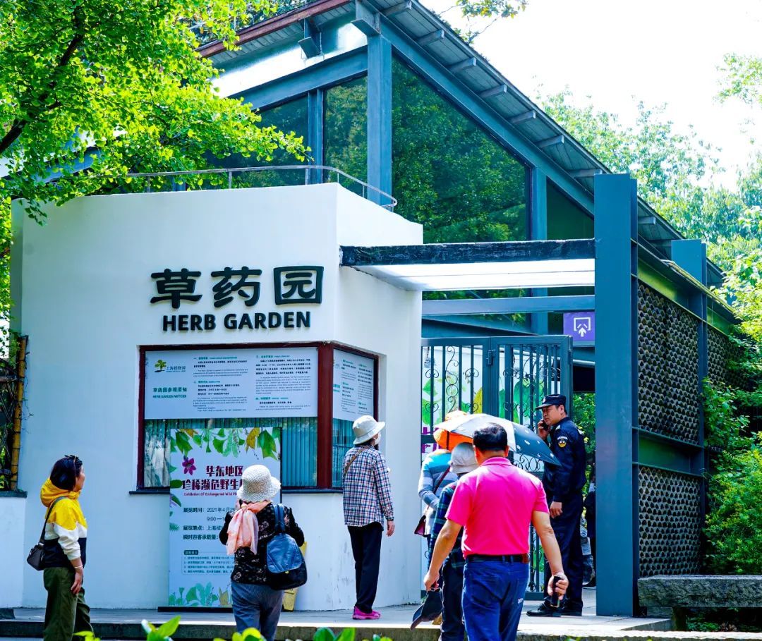岩石墙变景观墙～上海植物园草药园添新看点