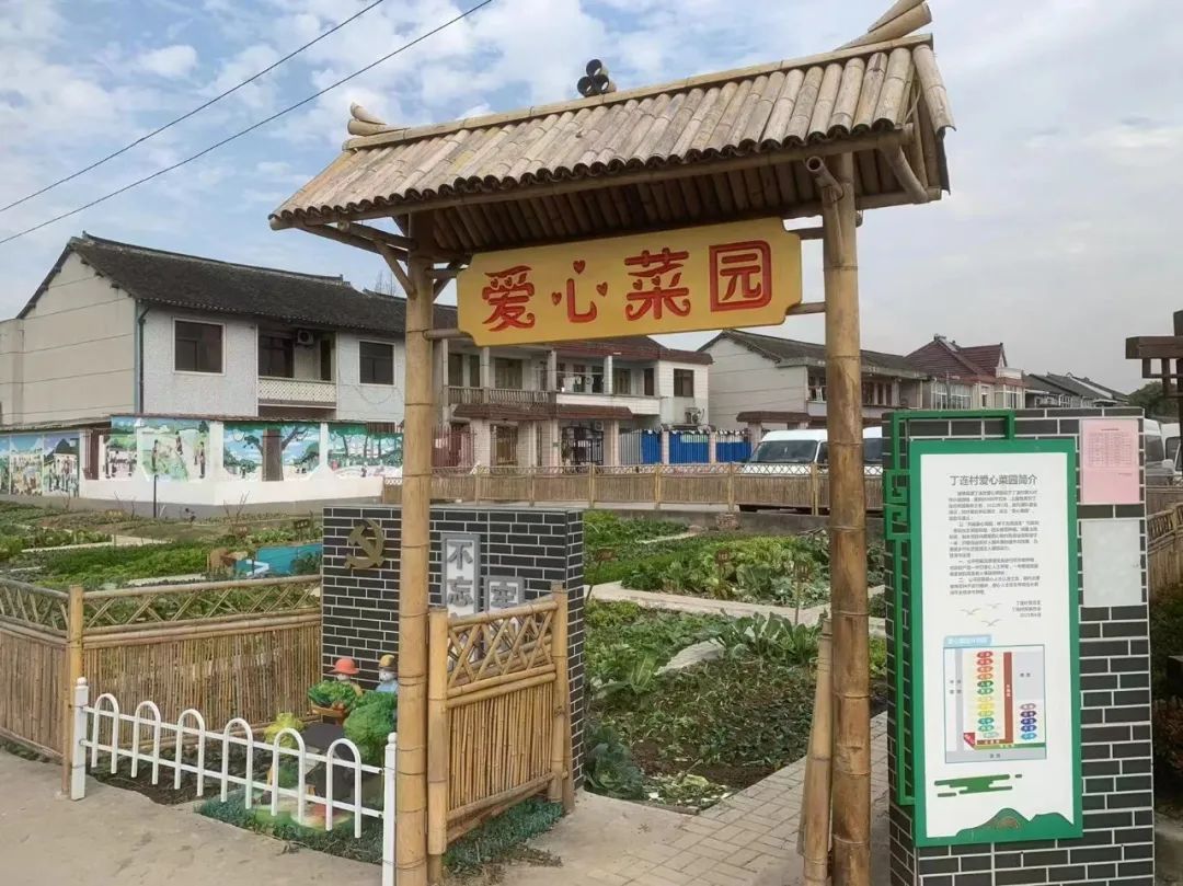 闵行浦锦街道丁连村有个众人欢喜的400㎡小菜园谁来种？给谁吃？