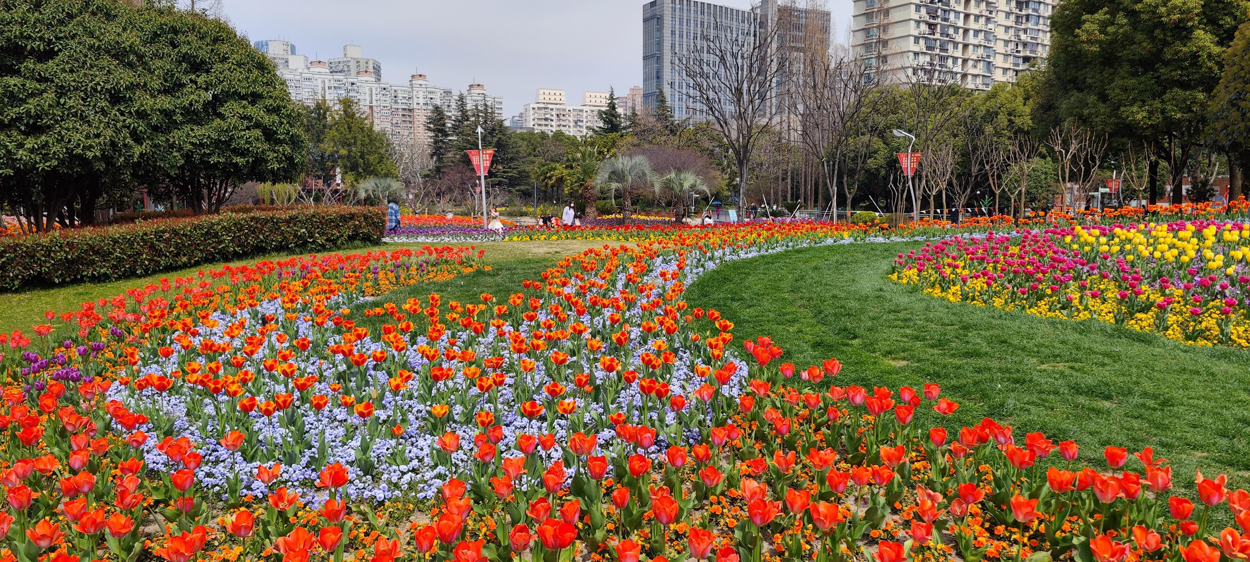 我的位置:>上观号>上海黄浦>文章详情>南园公园位于龙华东路800号