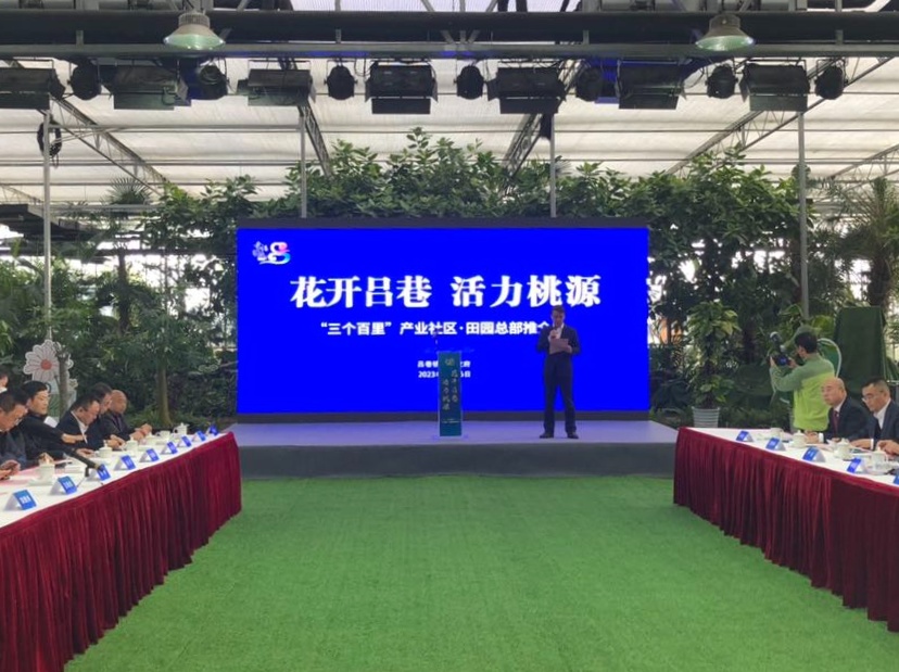 集休闲娱乐、商旅办公等于一体！金山这里不仅有约2500平方米的“桃源”还有……