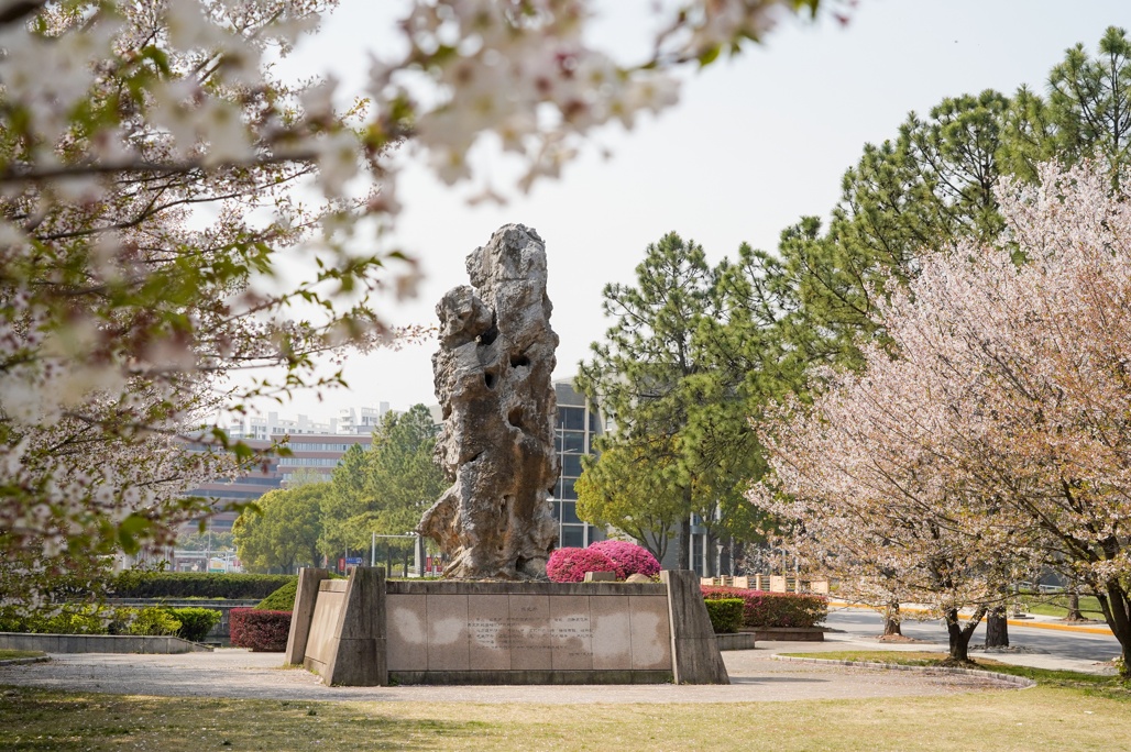 同济大学嘉定校区正门图片