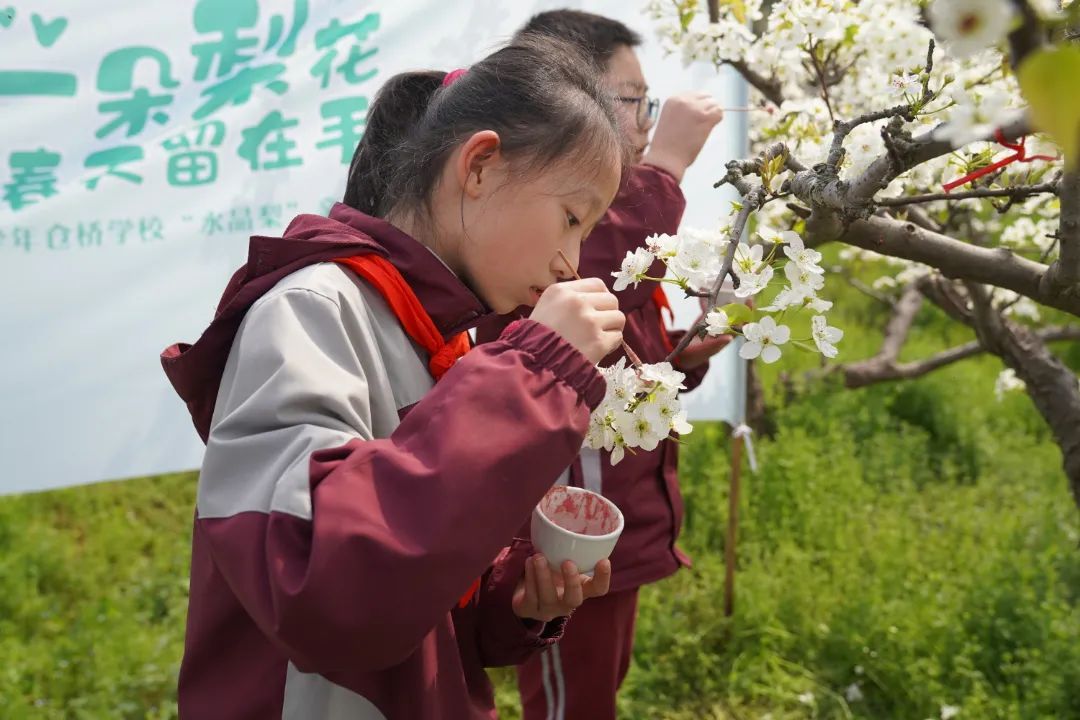 梨园学校图片