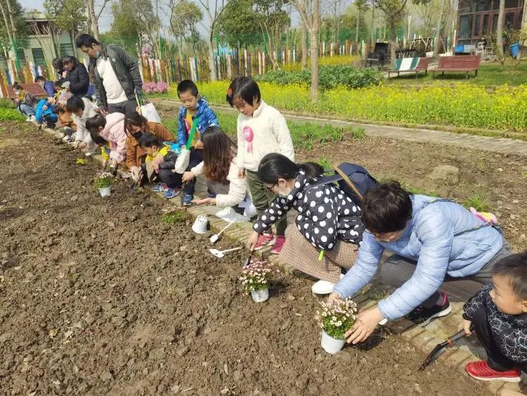 花与生活（花与生活说说心情短语） 第4张