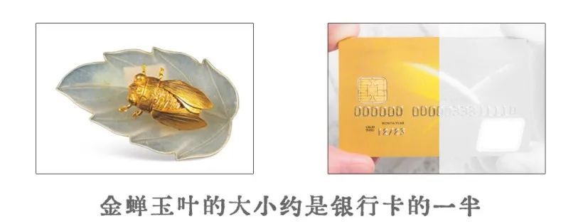 这件“金蝉玉叶”，原来是明代潮流单品_上观新闻