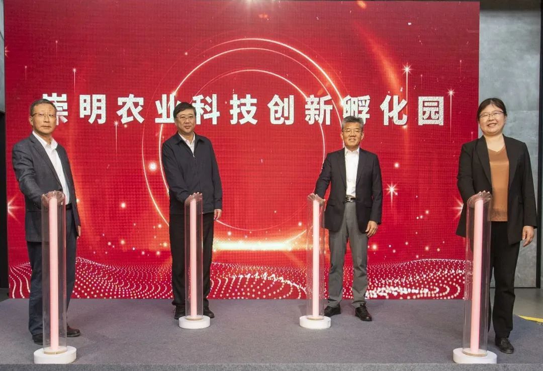 聚力打造农业科创岛崇明携手知名科研院校共同成立农业科创联盟