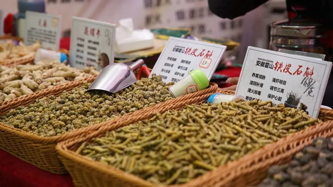 琳琅满目！闸北公园花市又来啦→_上观新闻