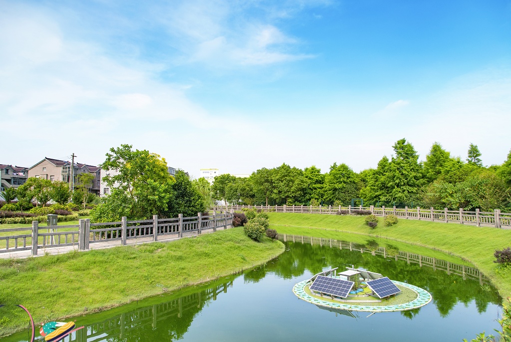 开云体育 开云平台闵行将持续推进“绿色田园”“美丽家园”和“幸福乐建设！(图5)