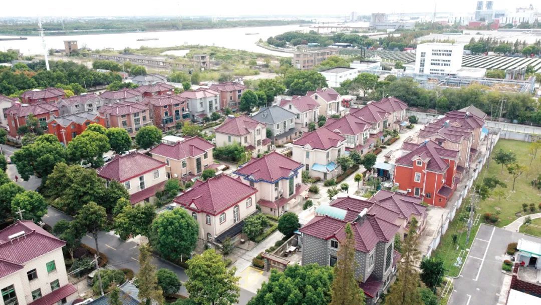 开云体育 开云平台闵行将持续推进“绿色田园”“美丽家园”和“幸福乐建设！(图6)