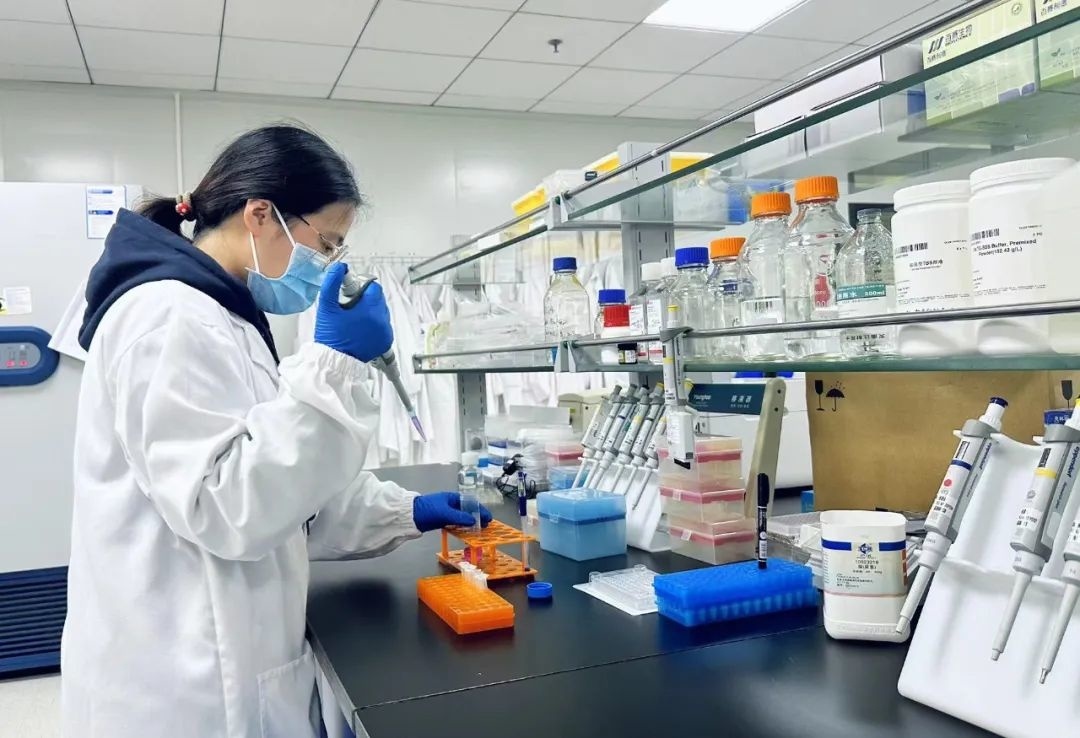 智能矿山重型配备全国要点实验室在河南洛阳投用