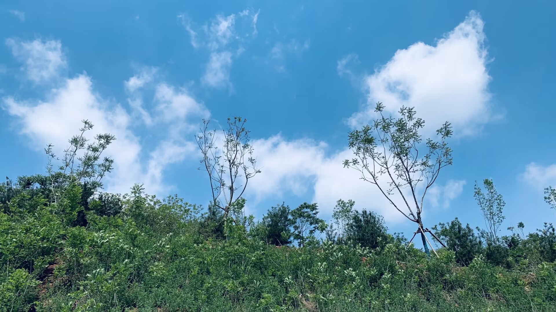 雨后天晴的景象图片