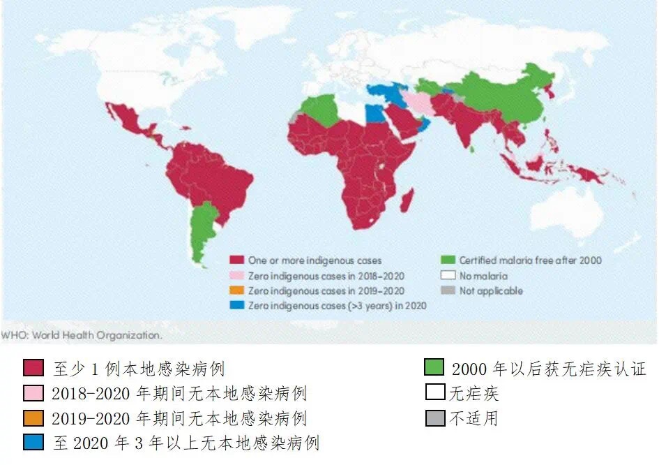 这个病，靠一株小草拯救了无数人！