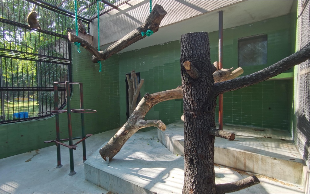 分享丨豚尾猴笼舍微改造宛如进了大观园