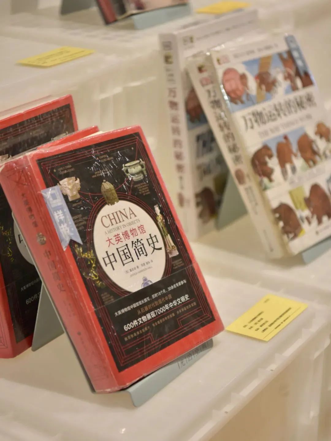 活动·预告｜光的空间最受“翻”迎图书展•第二季_上观新闻